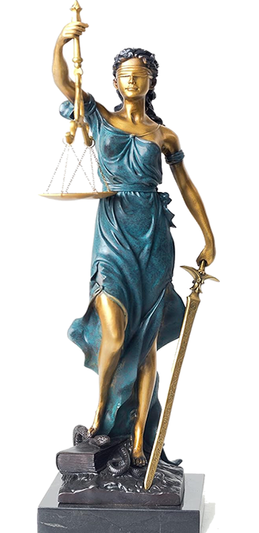 Firm Image